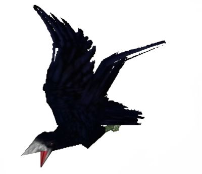 Render 1